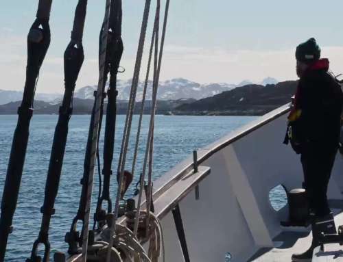 Capsule on board n°16 : Arrival in Greenland