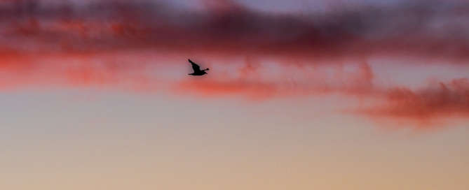 AE-2021-IMPRESSIONS_leverdesoleil3