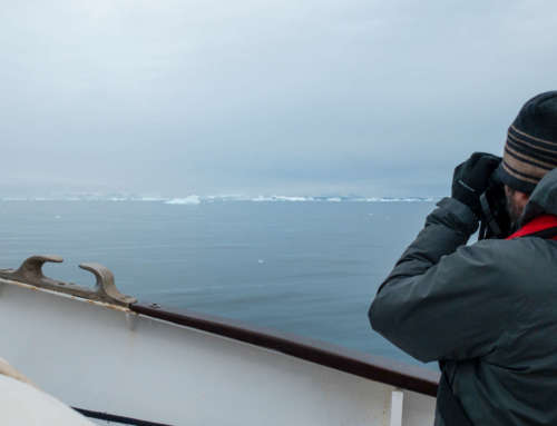 Sound recordings next to the icebergs