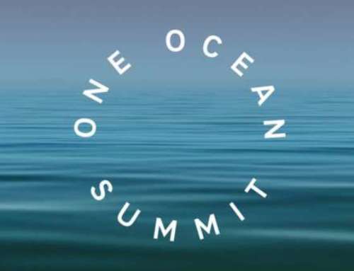 One Ocean Summit, here we go!