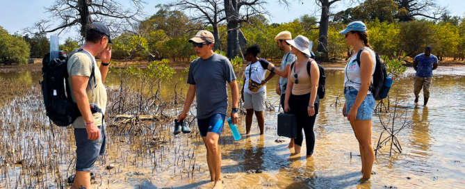 15-01-24_Carottages-Bitang-BIlong_©Anja-von-Senger (1)