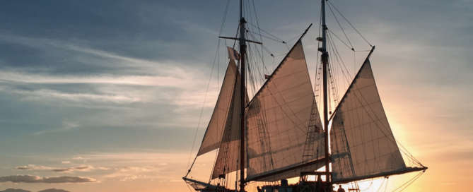 Fleur-voeux-2024_©Pacifique