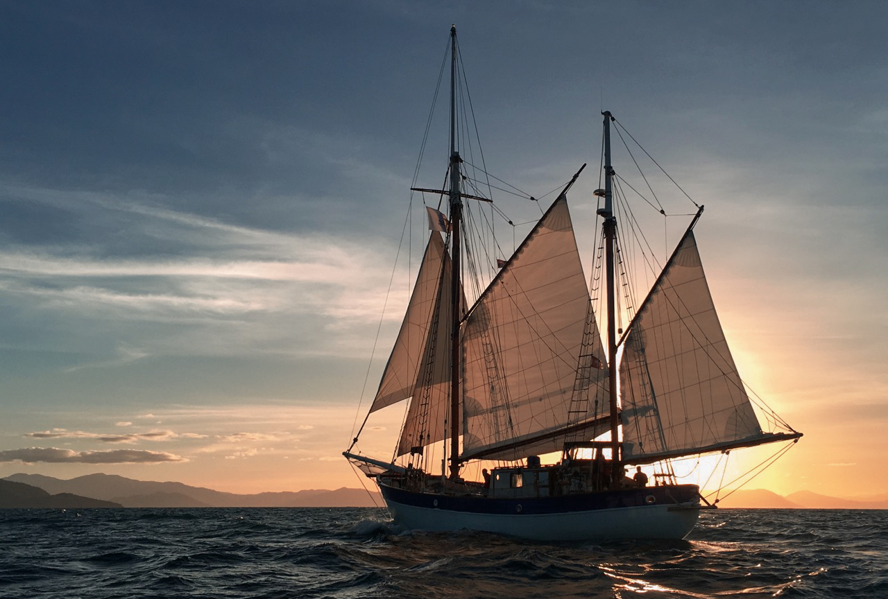 Fleur-mentions_©Pacifique