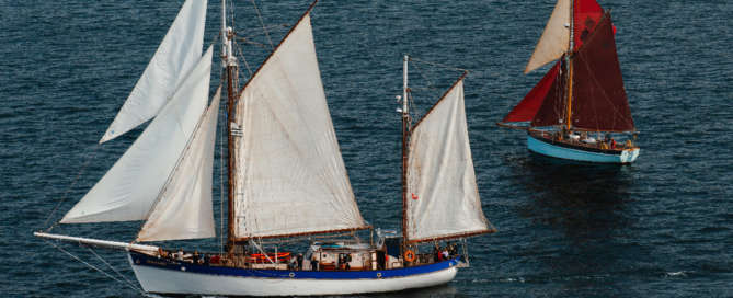 Fleur-2025-©Arthur-Jacobs