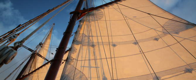 Transat-2025-Fleur (1)