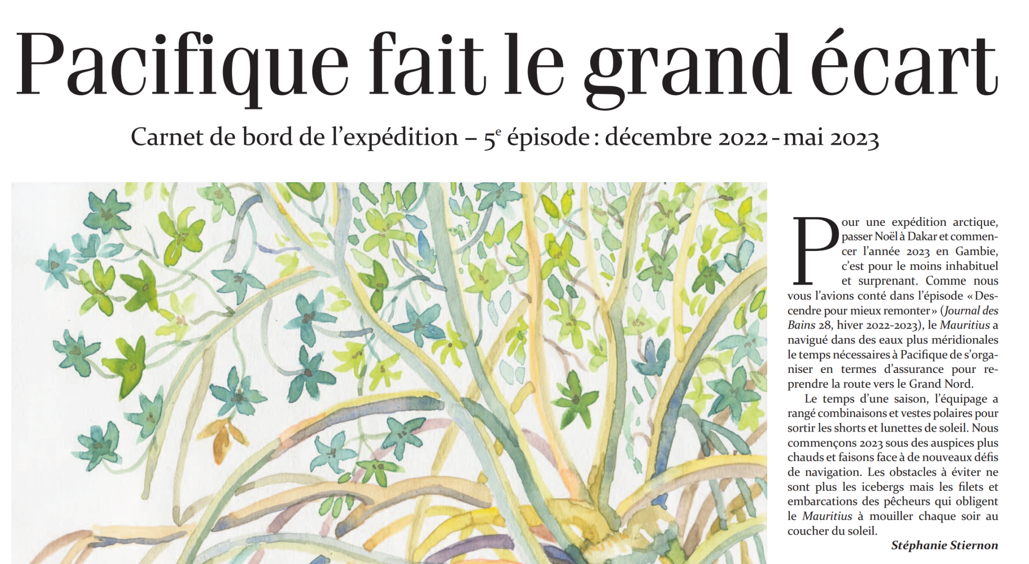 Capture decran 2026 02 23 155203 scaled-pacifique