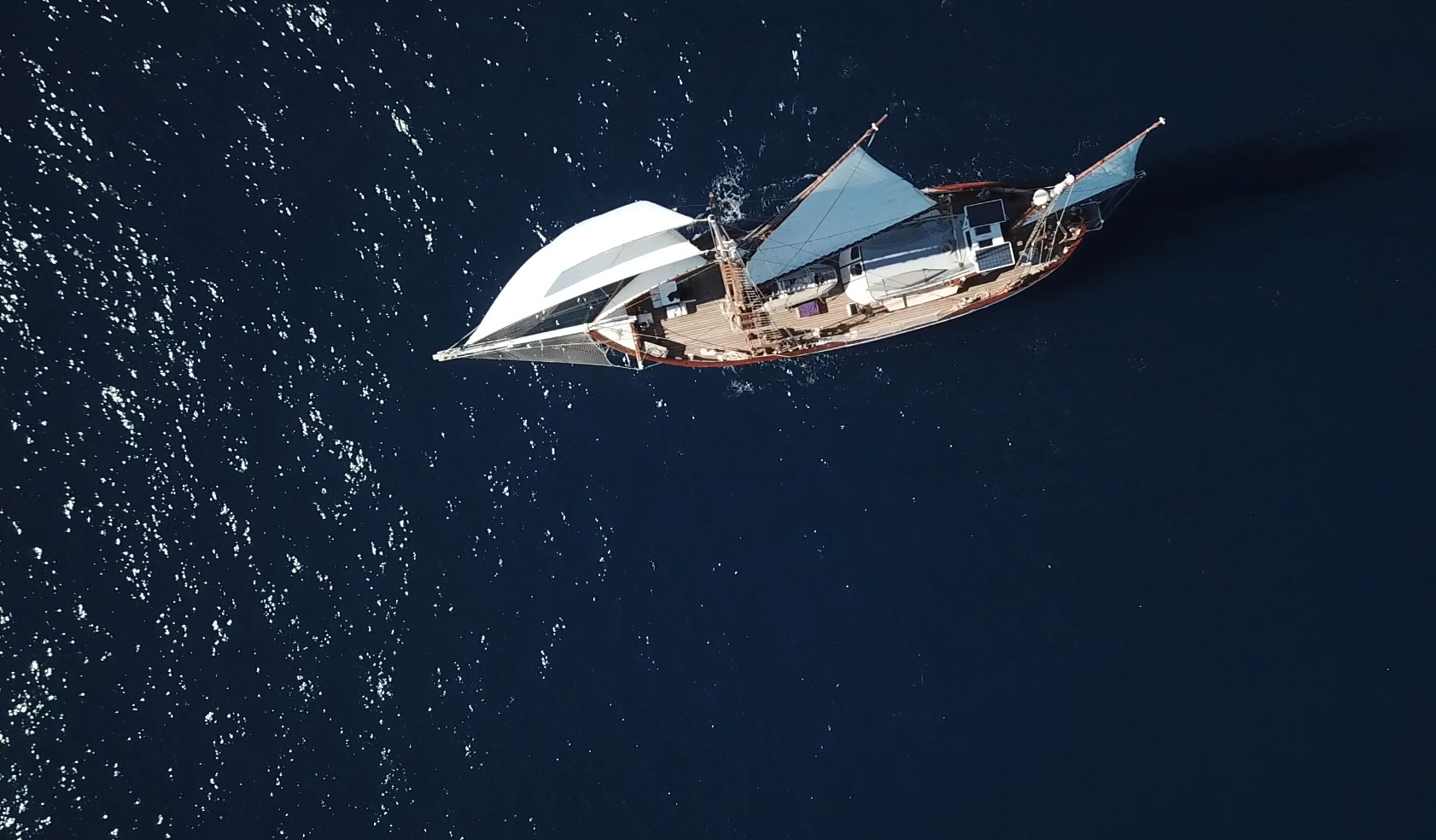 Exped-mangroves-2026_2030