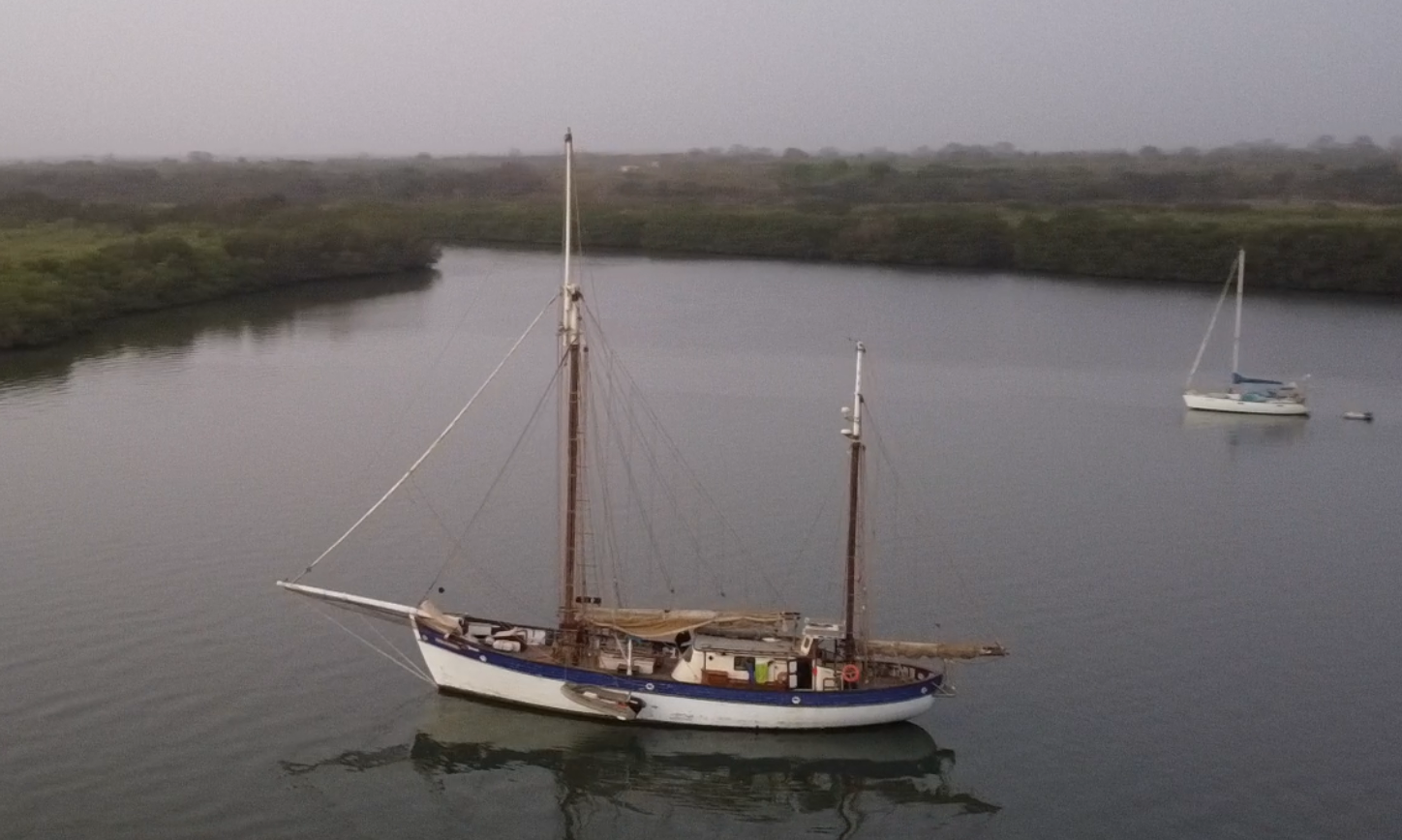 Capture decran 2026 02 24 142904-pacifique