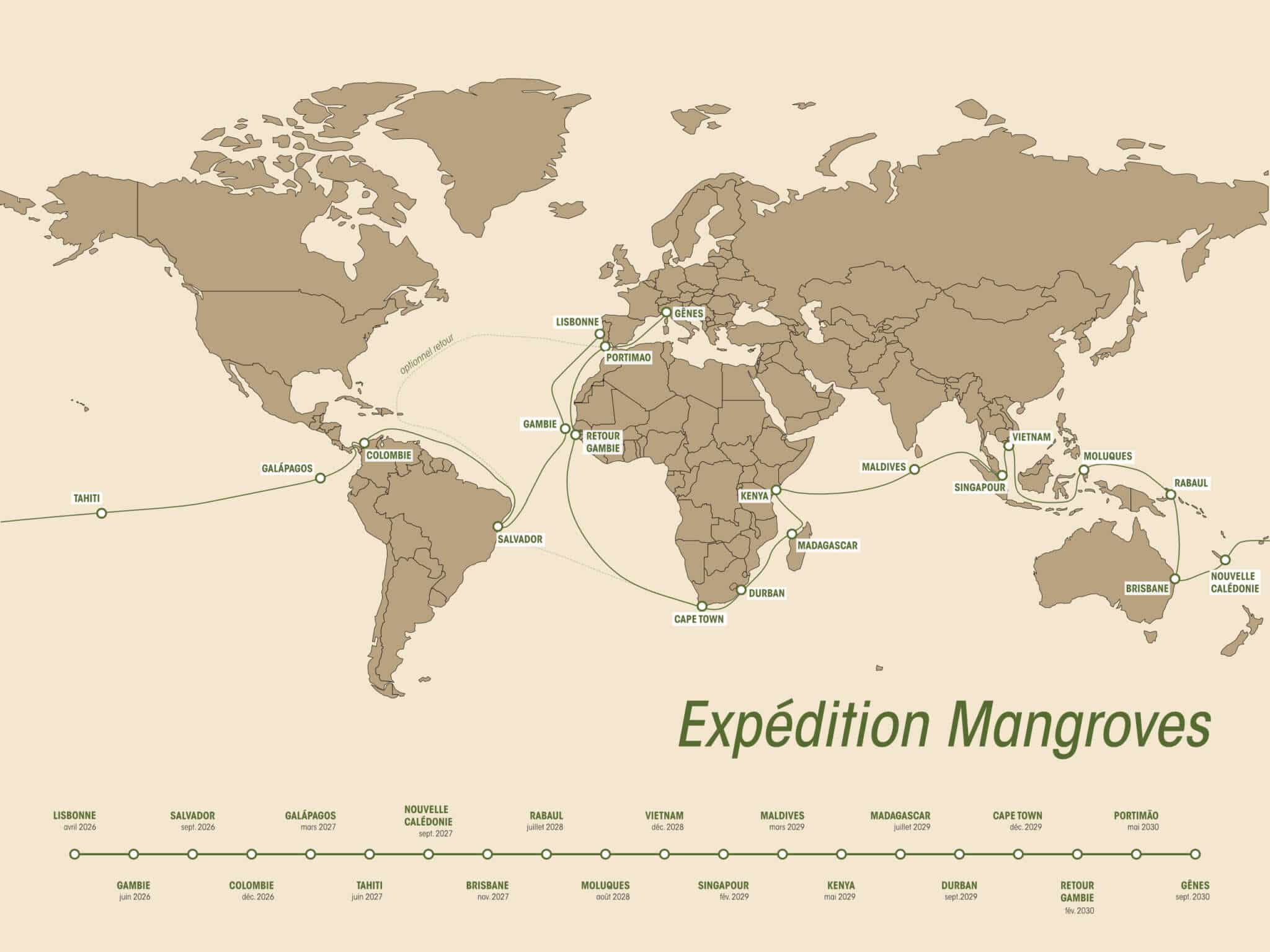 Trace Mangroves scaled-pacifique
