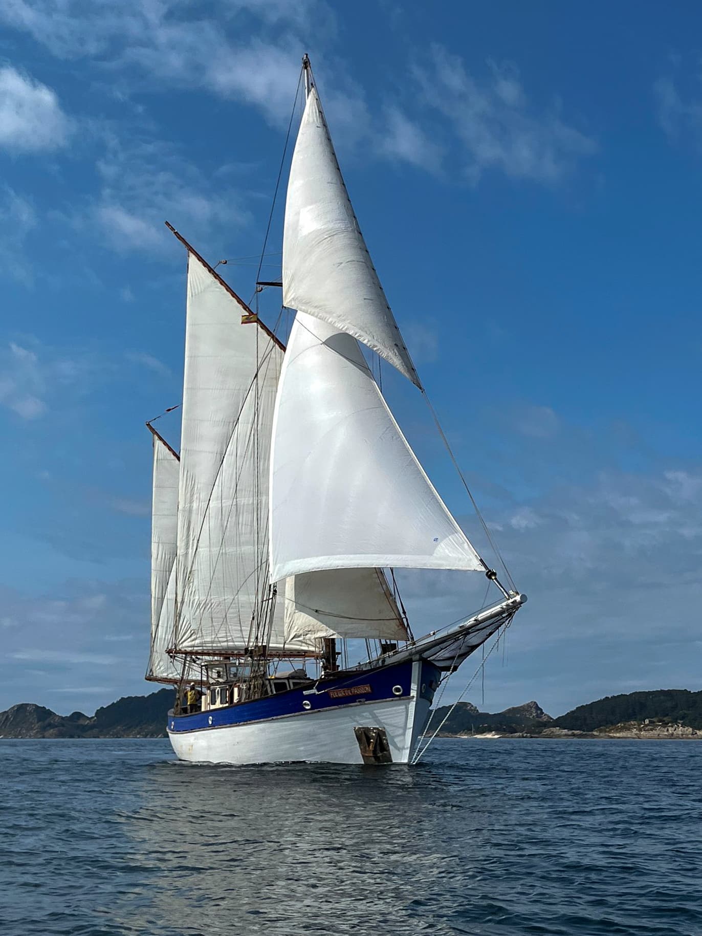 07 21 Fleur iles cis ©Anja von Senger 4-pacifique