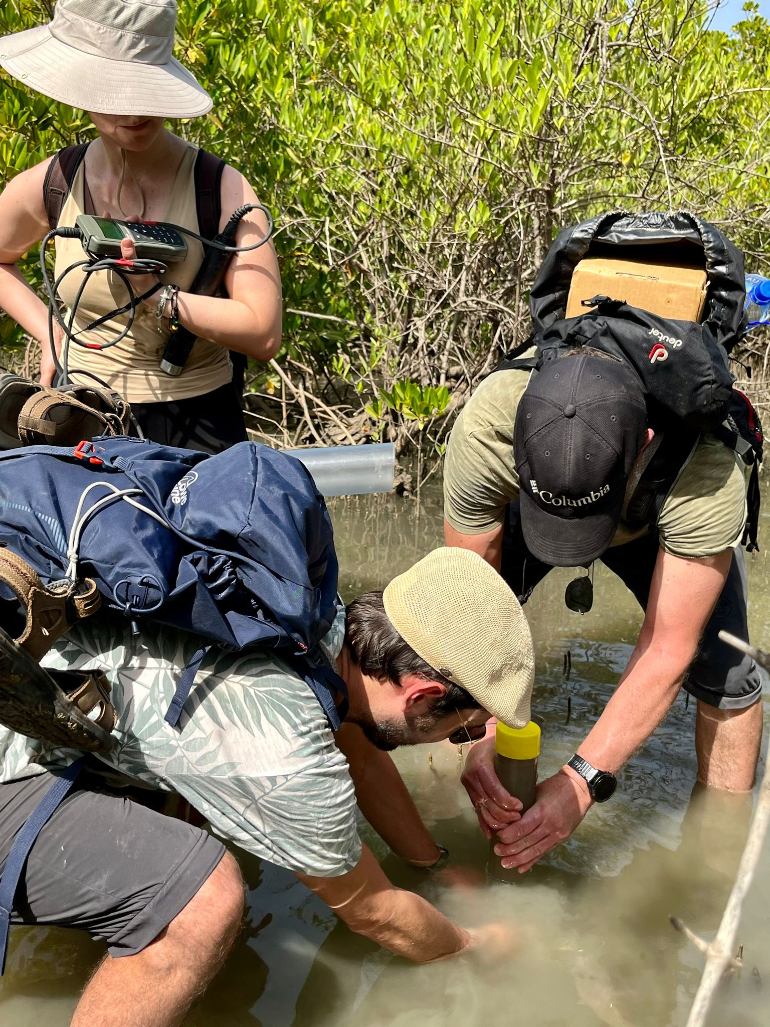 Mangroves1-pacifique