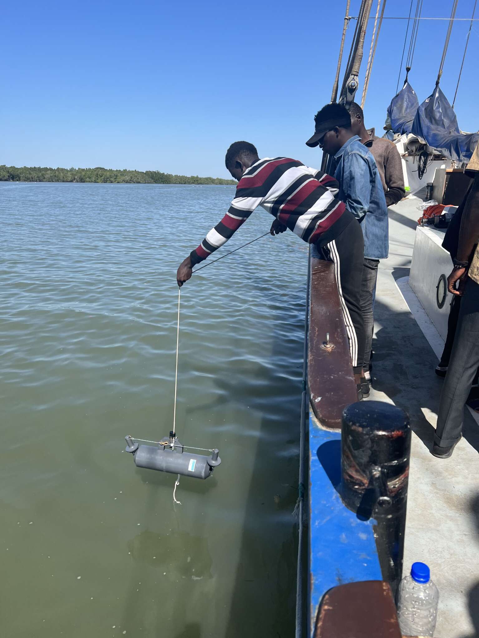 Mangroves3 scaled-pacifique